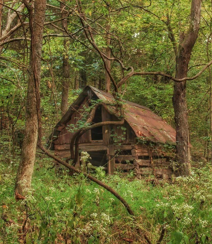 Hidden Gems in Ocala FL: Top Recommendations for Zillow House Hunters