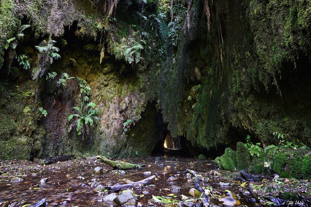 Exploring the Hiddenâ Gemsâ of Palm Coast, âFL Real Estateâ¢ Market