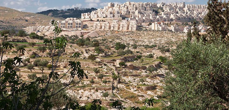 A House-Seeker's ‍Guide to​ the Vibrant Community​ of Kissimmee FL