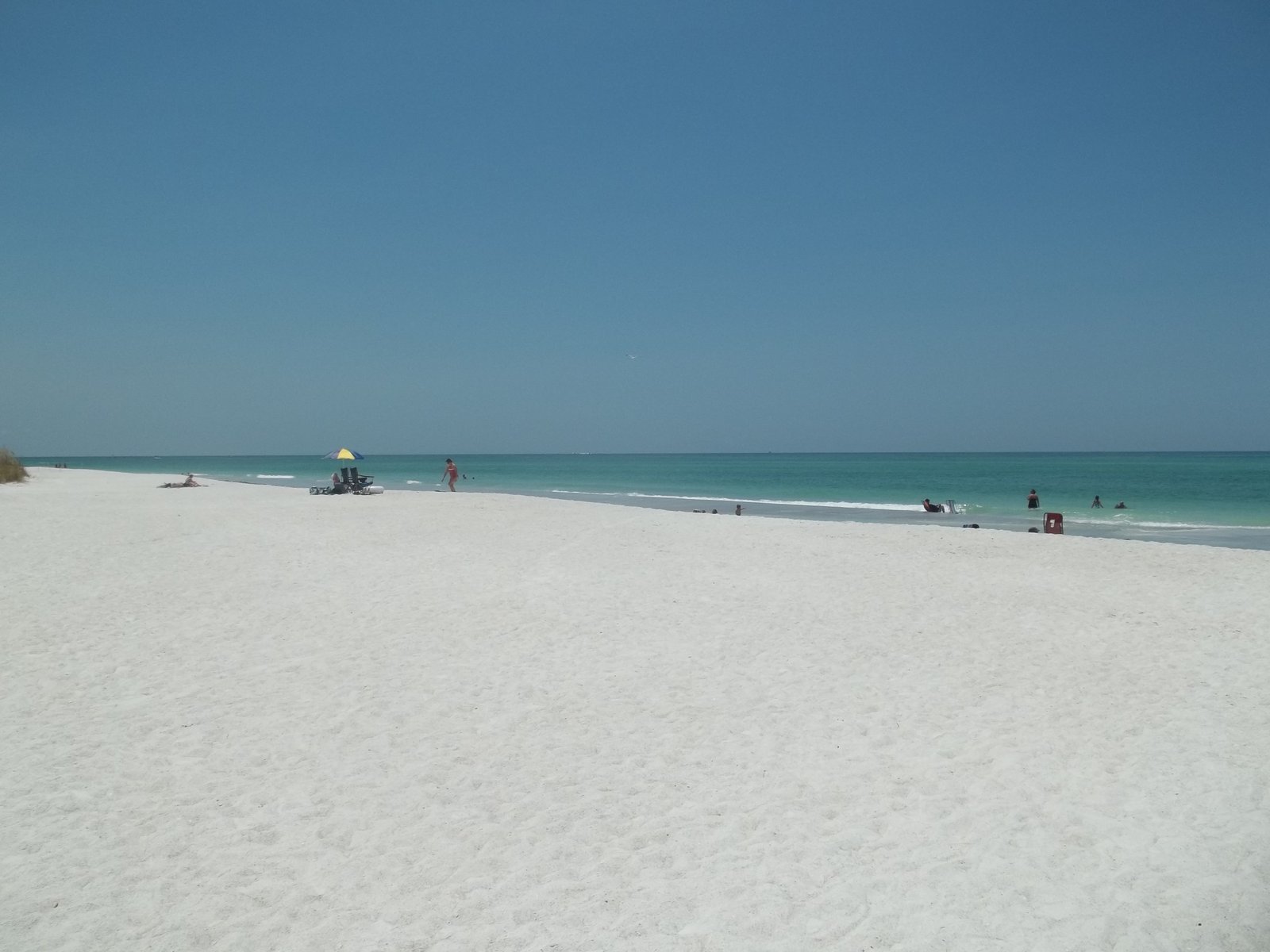 Exploring Longboat Key’s Top Condos for Sale: A Paradise for Beach Lovers