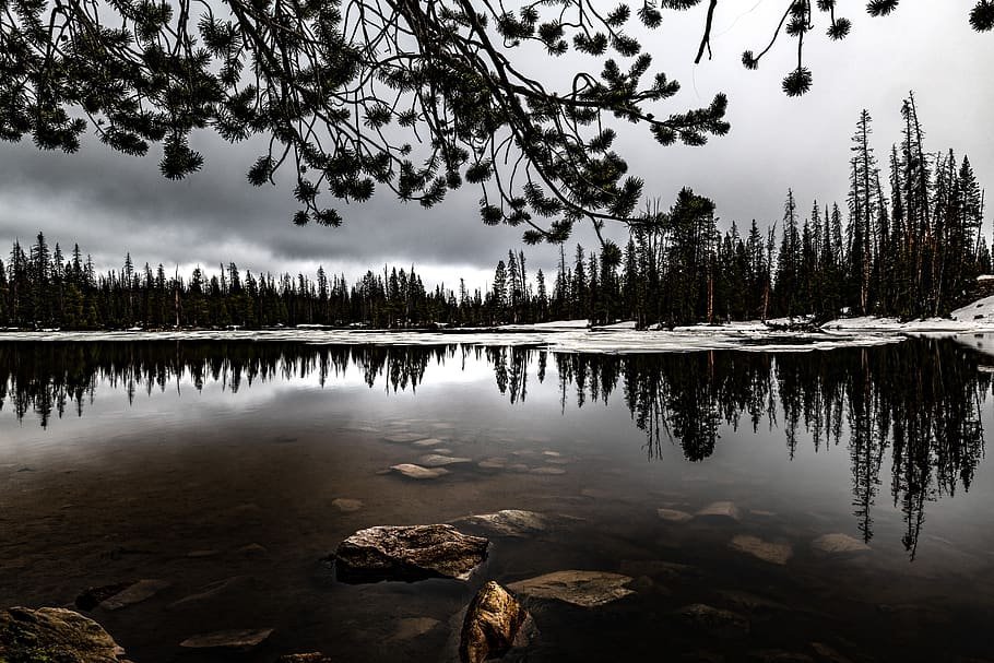 Uncover the Tranquil Beauty of New Port Richey through an Impressive Selection of Houses for Sale