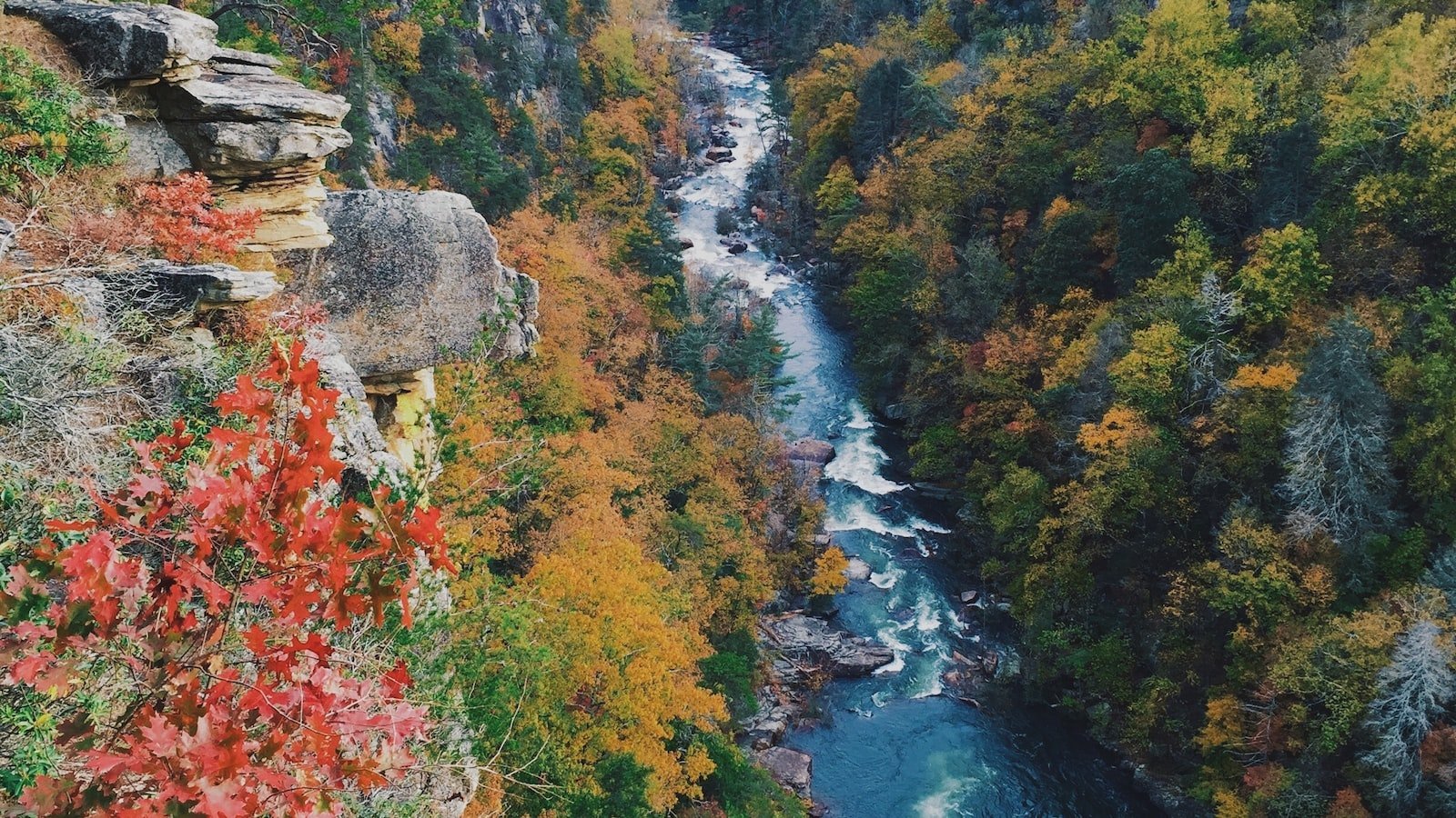 The Charm ‌of Coconut Creek: Discover Your Dream Home in ‌This Serene Floridian⁣ Locale