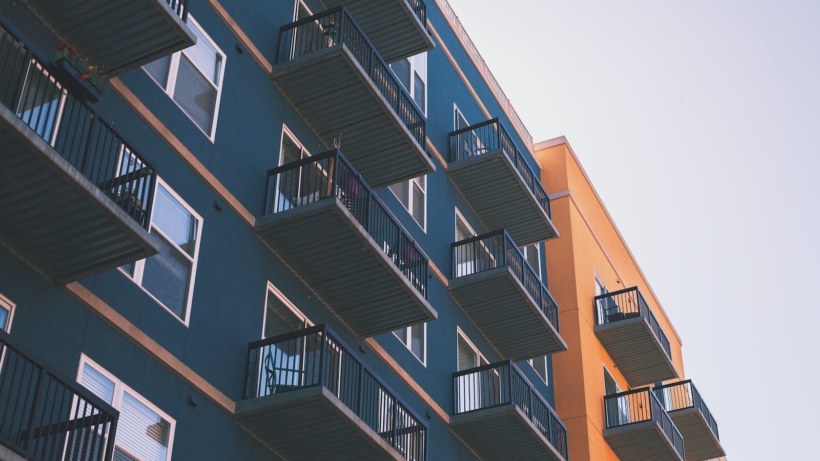 Exploring the Charms of Trulia's Real Estate Listings in St. Petersburg, FL