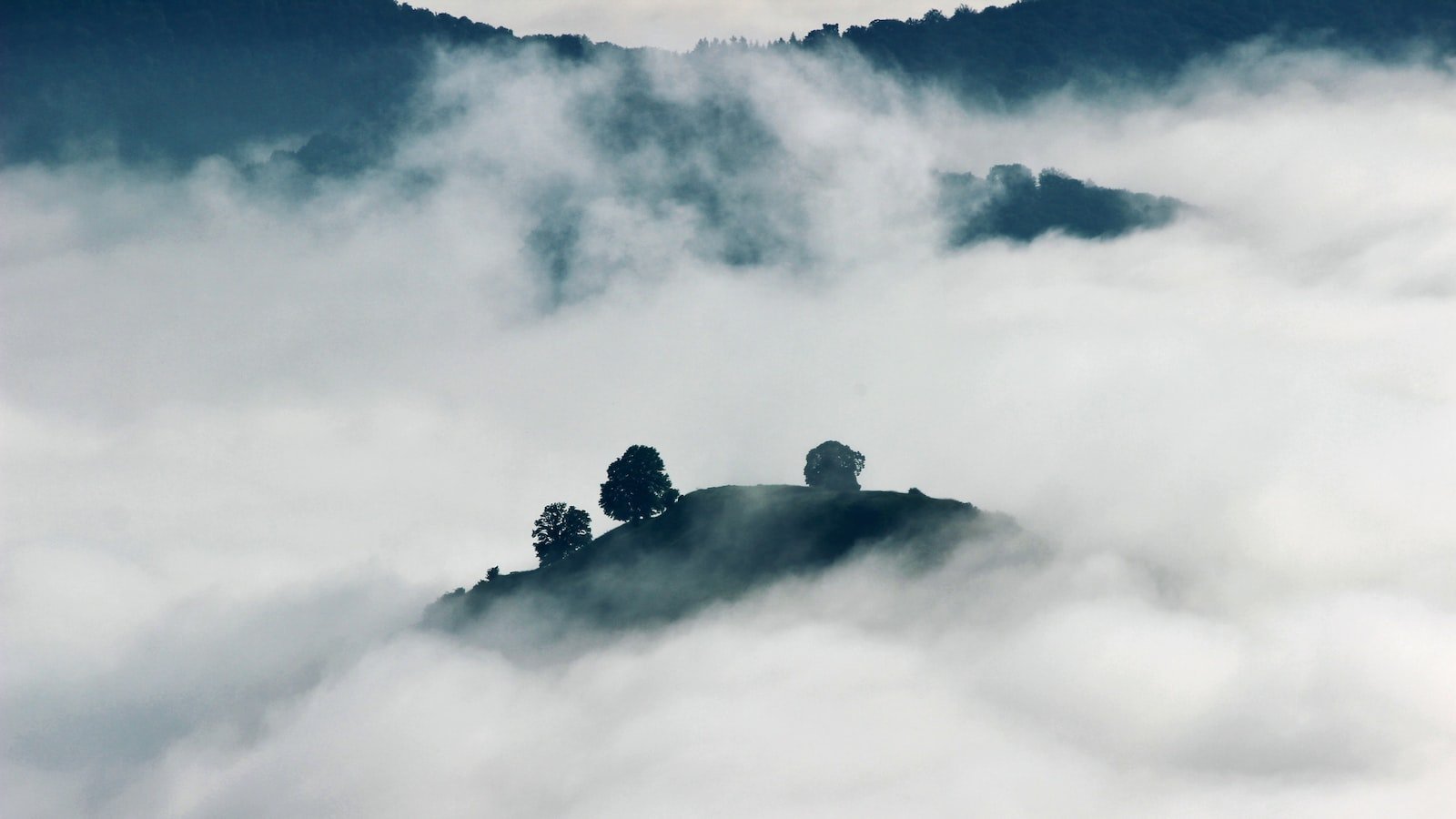 Unparalleled‍ Amenities: Experience the Exclusive Lifestyle of​ Holly Hill⁤ Townhomes