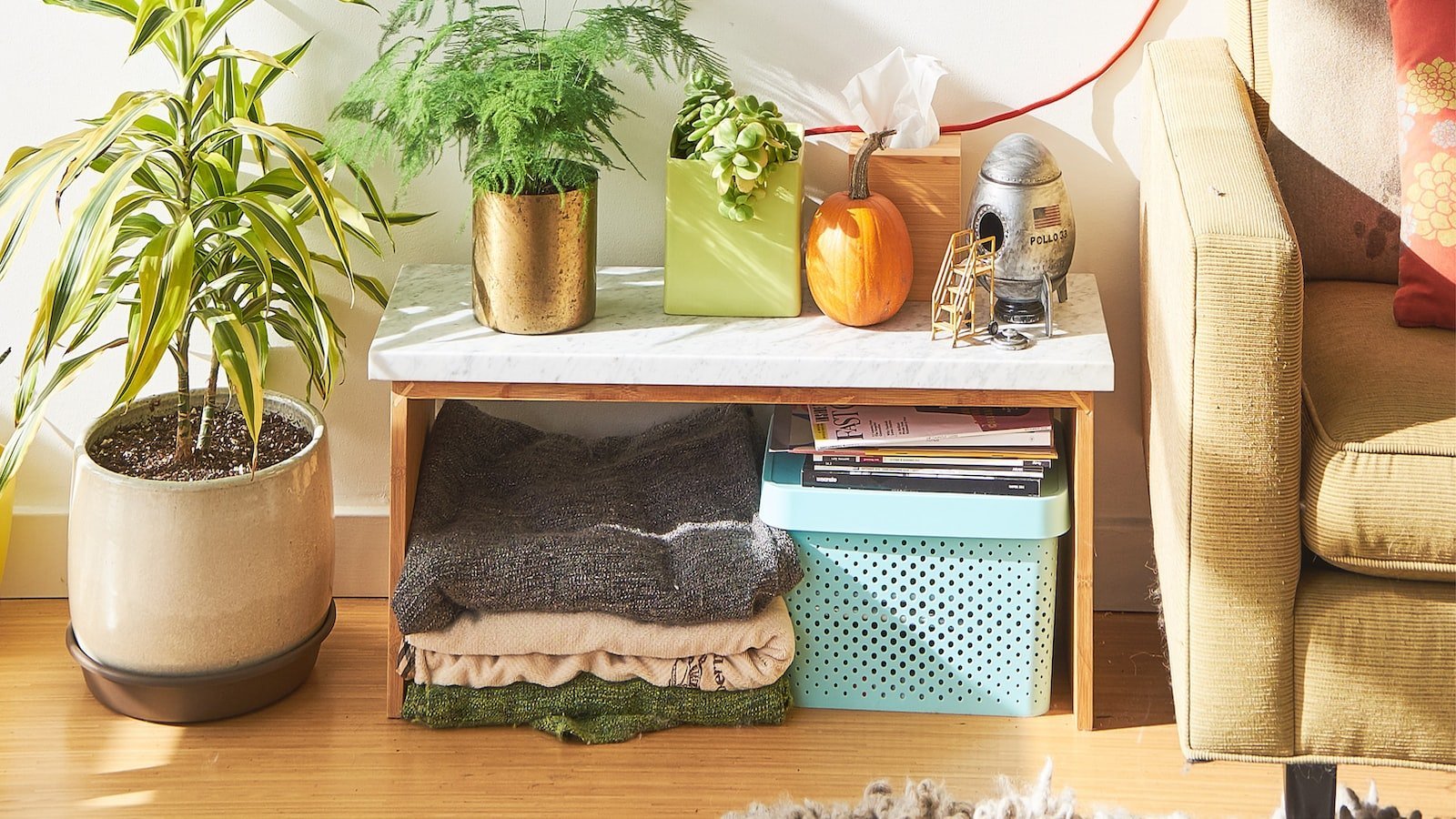 Uncover Your‍ Ideal Home: Top‌ Recommendations for Houses near Coconut Creek FL