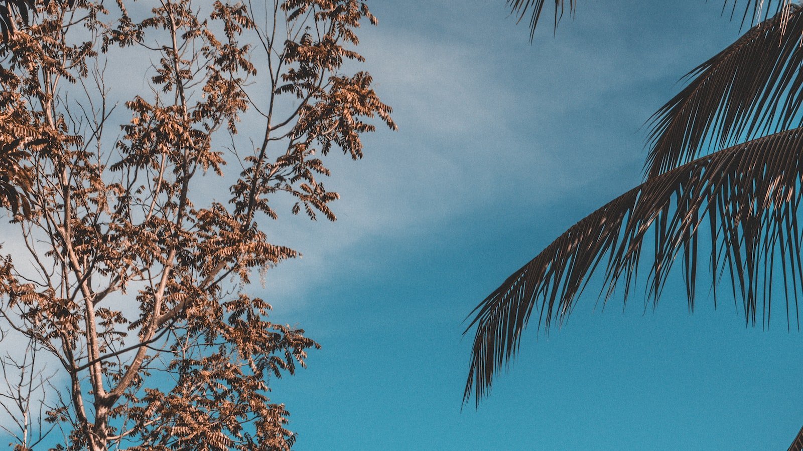 4. ‌Lifestyle and Convenience:⁤ Why Altamonte​ Springs Townhomes Are the Ideal Choice