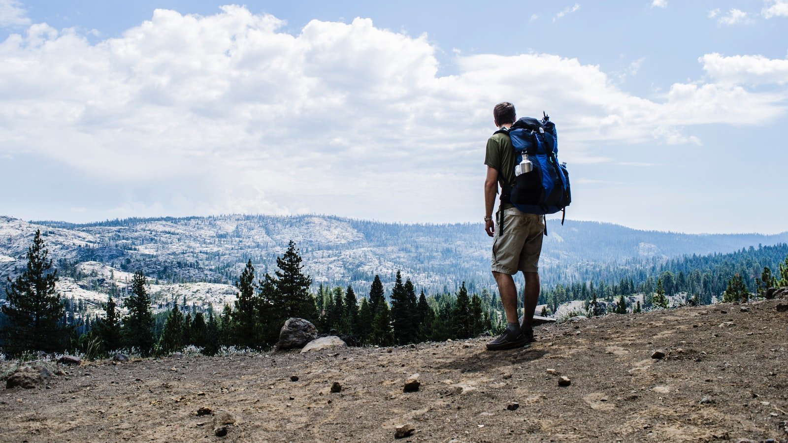 Navigating the Pinecrest, FL Realâ¢ Estate Market: Top Recommendations forâ House Sale âWebsites