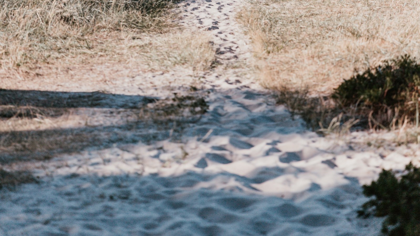 The Perfect Investment: Why Dania Beach Townhomes are a Sound Real Estate Choice