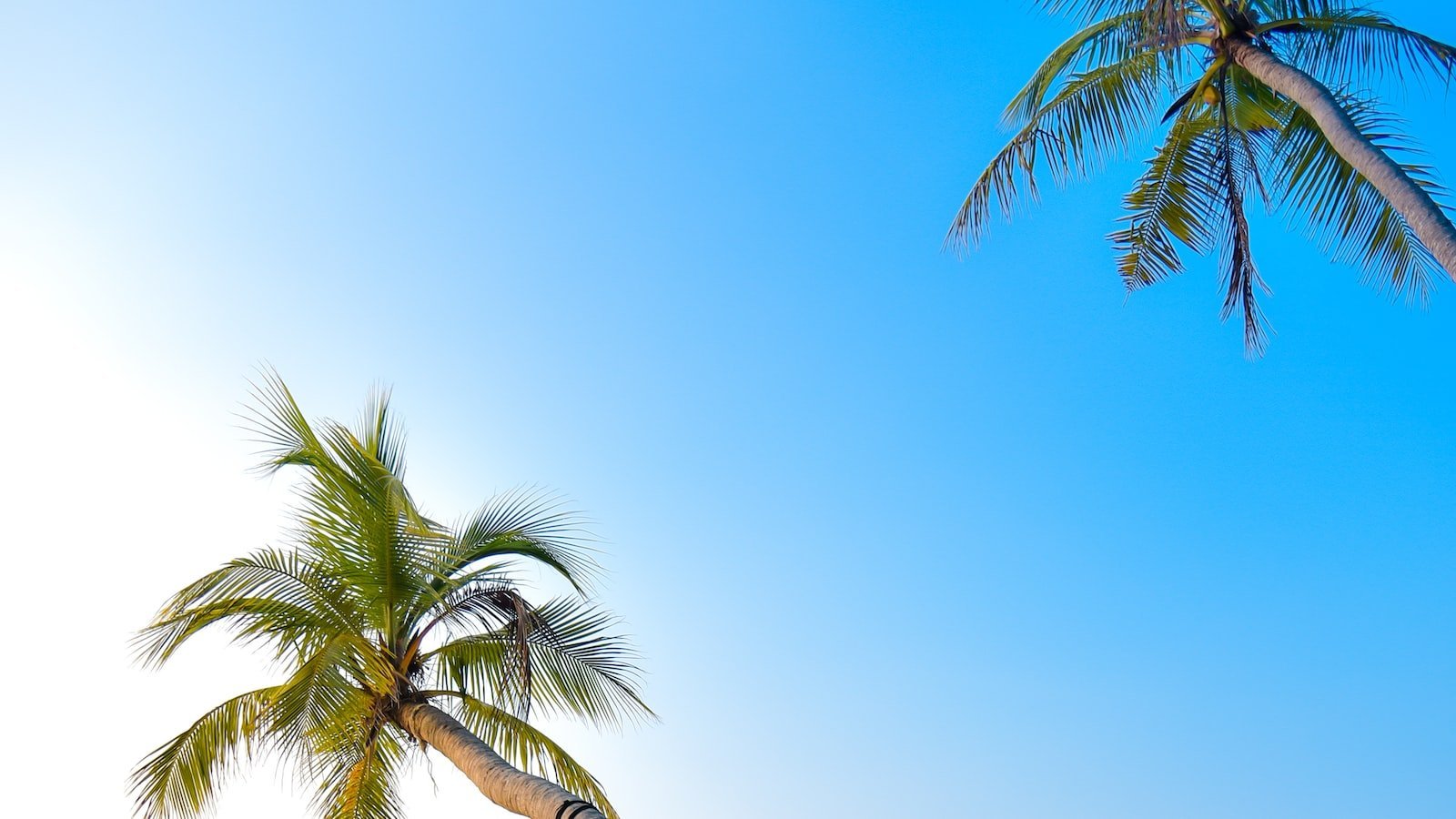 Comparing Neptune Beach FL Listings on​ Zillow: Uncover⁣ Hidden Gems ‌and Best Deals