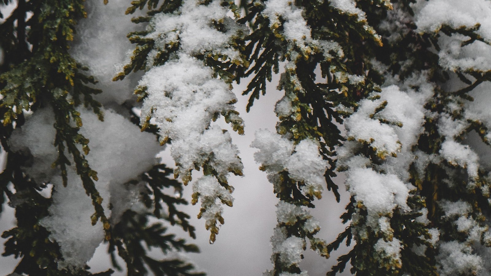 Picturesque Oceanfront Properties in Atlantic Beach, FL: Unveiling the Treasures on Zillow for Sale