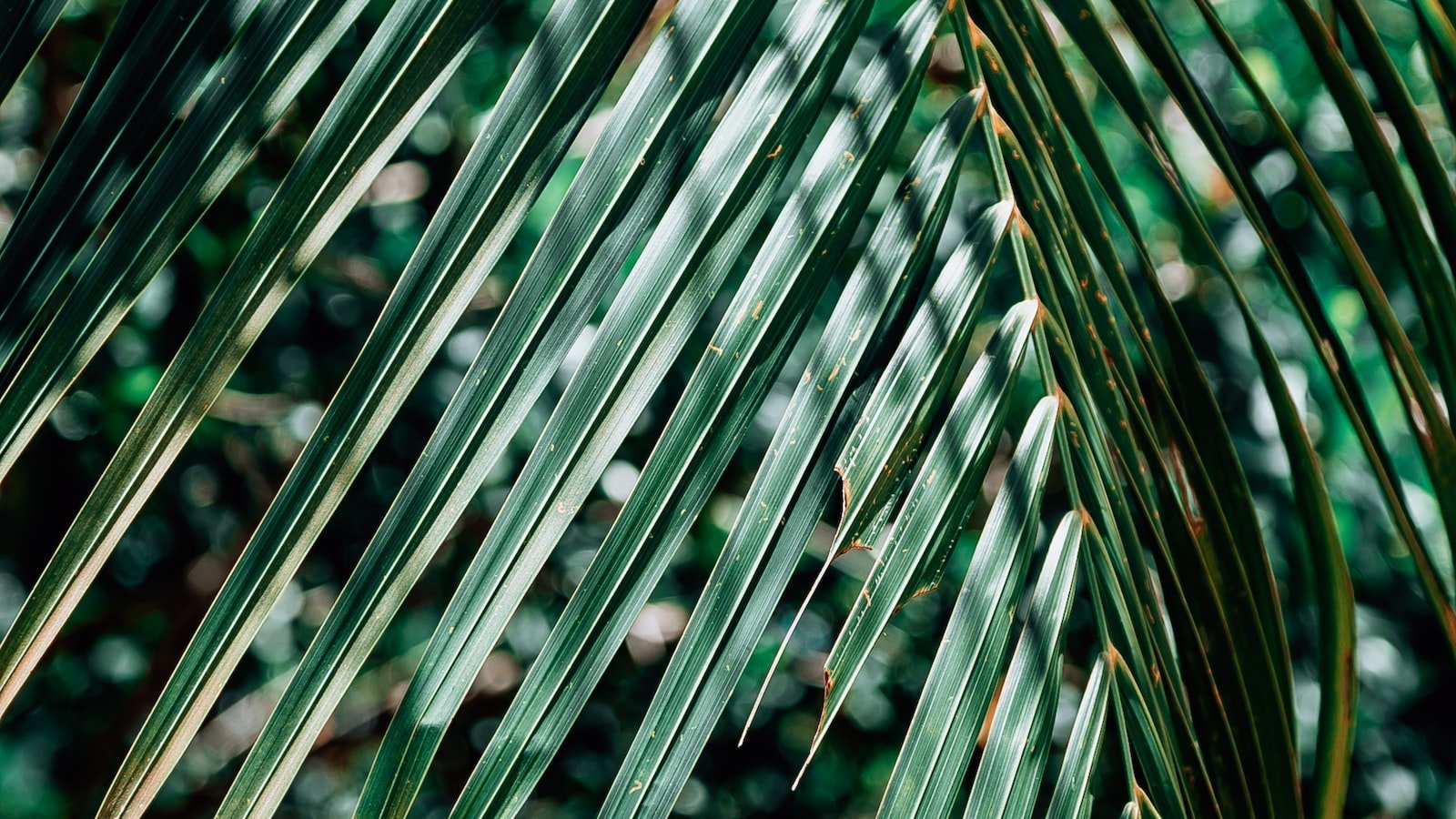 Avoid Costly Mistakes:‌ Consult a Realtor with Expertise in ​Jupiter, FL