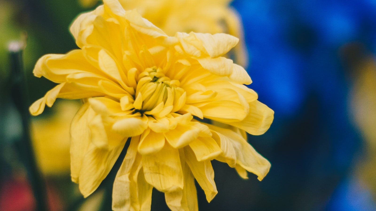 Offers a Peaceful and‍ Convenient ‌Lifestyle