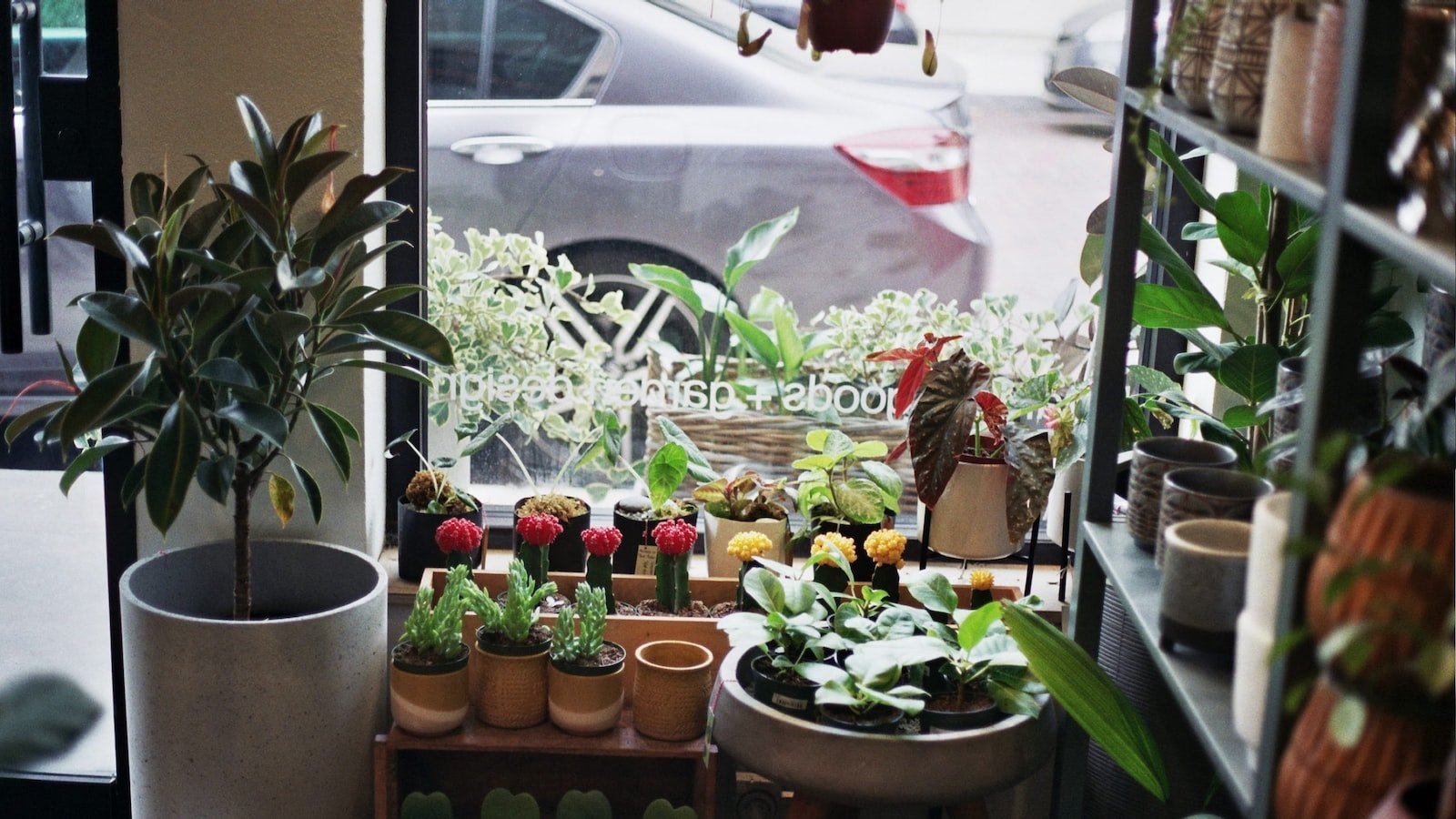 1. Explore the⢠Enchanting Neighborhoods of Winter⣠Park FL: A Haven âfor Potential Homebuyers