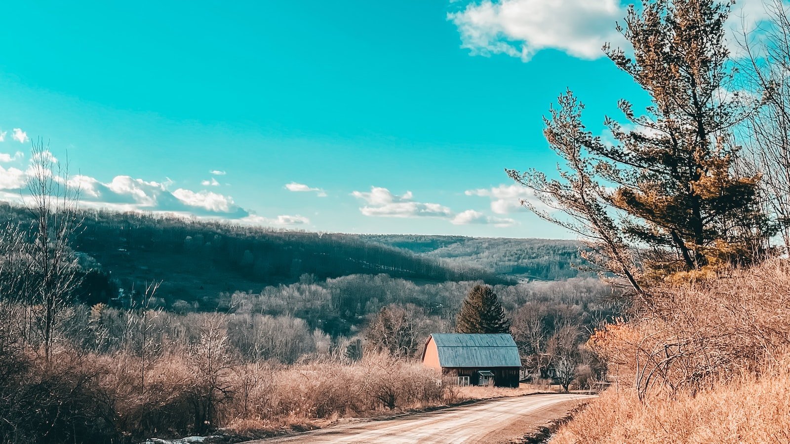 The Charm of Lake Alfred: Exploring Zillow's Houses for Sale