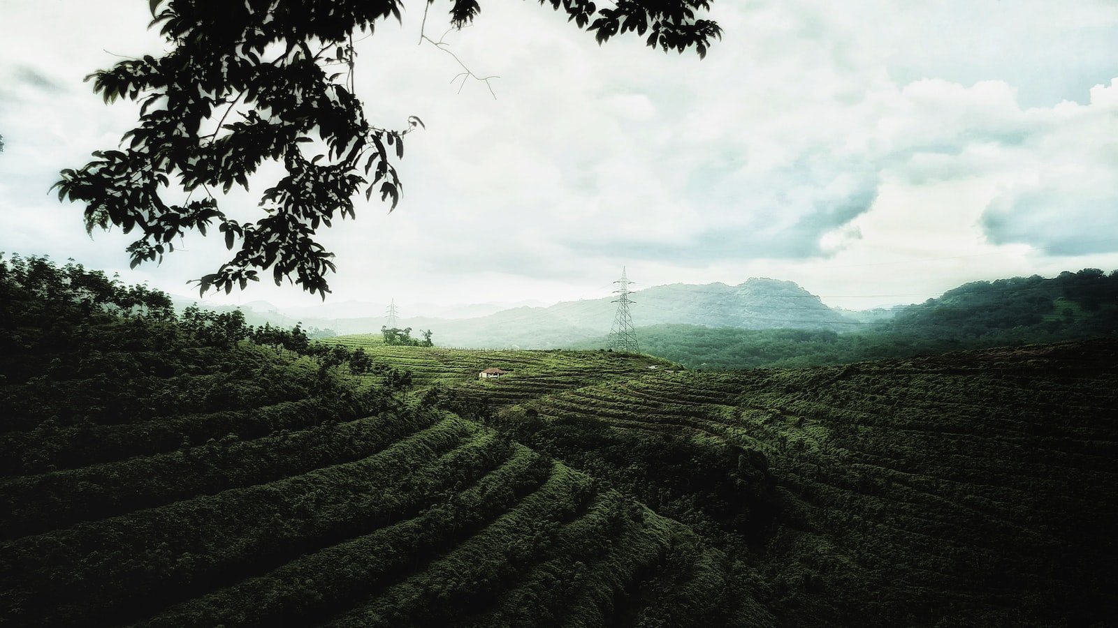 Tips for Finding Your​ Dream Townhome in Sanford FL