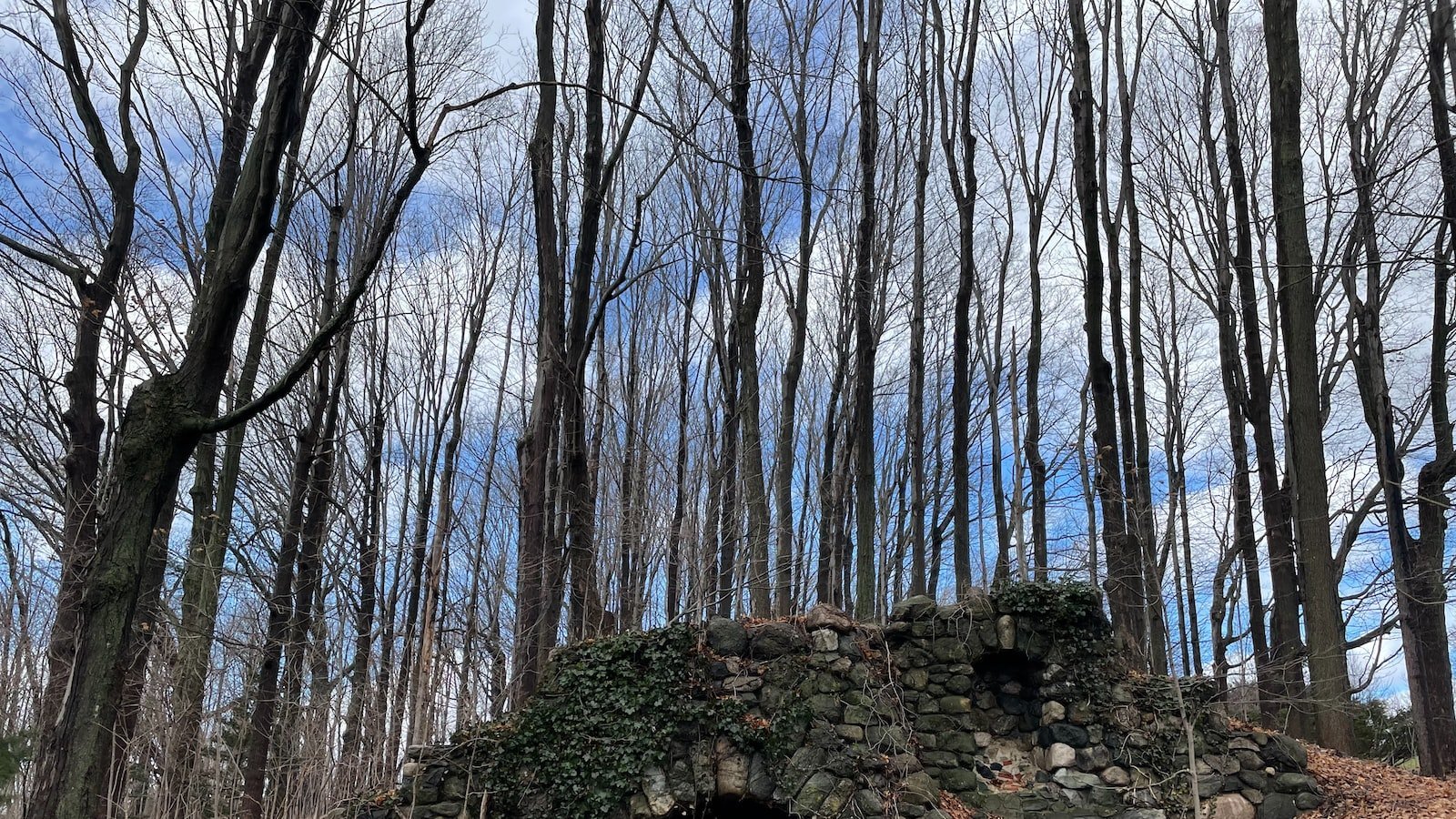 1. Discover the Hidden Gem of Chipley FL:â£ An Exclusive â¢House for â¤Sale Offering Unmatched Charm âand Serenity