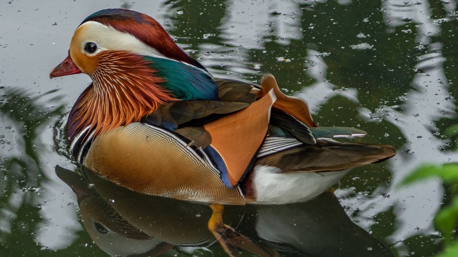 The Charming Neighborhood of Wilton Manors: An In-Depth ​Overview of Trulia's Insights