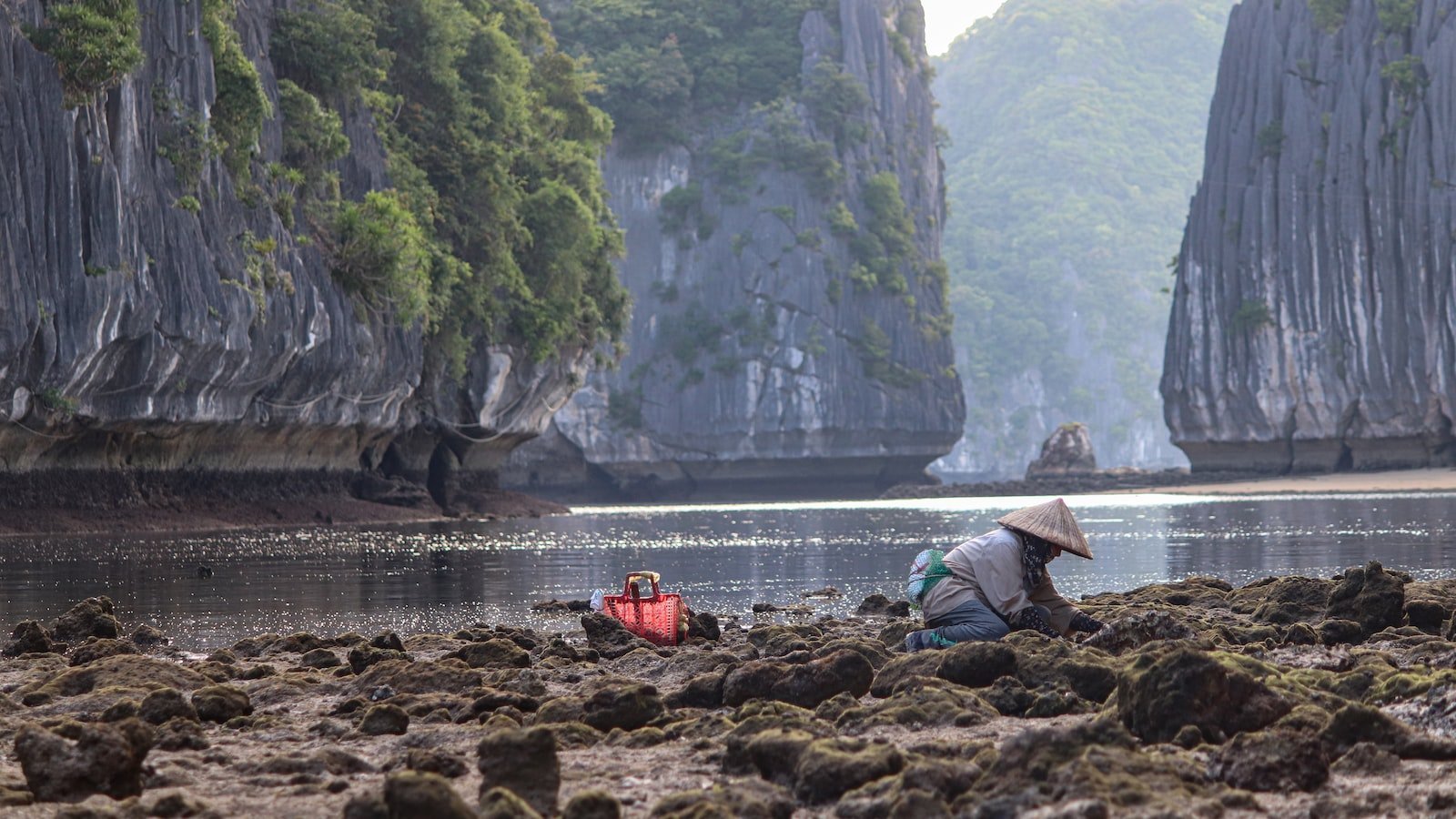 1. Coastal Paradise: Discover the Tranquil Charm of Houses for Sale near Ormond Beach, FL