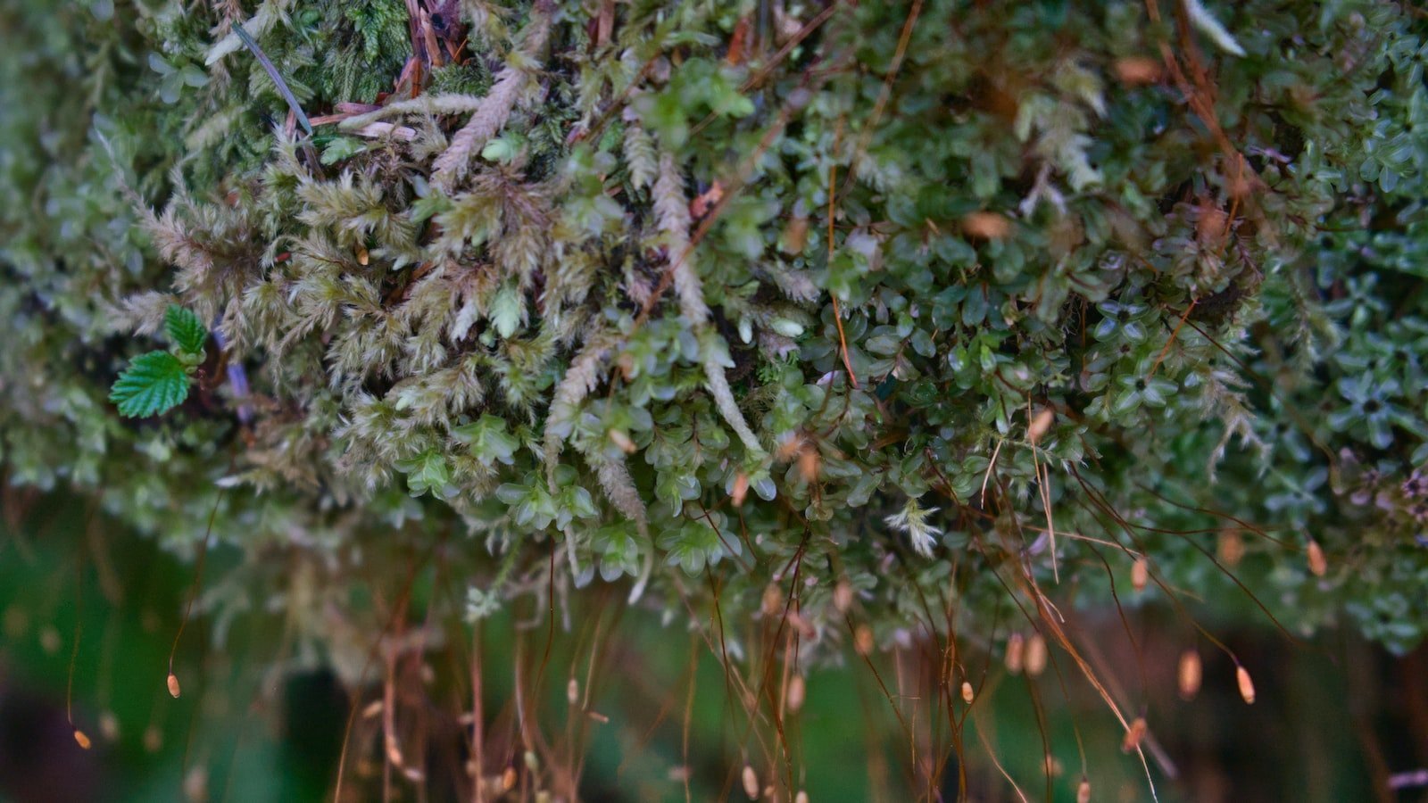 Exploring the ​Diverse Neighborhoods of Lauderdale By The⁣ Sea FL