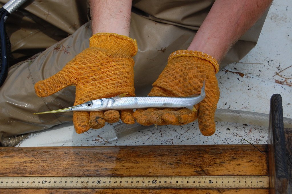 Exploring⁤ the Benefits of Redfin Wellington FL:‌ A User-Centric ​Experience