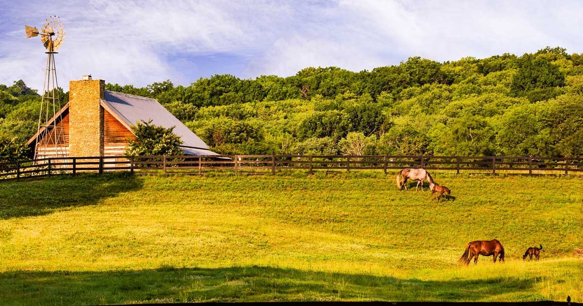 Top-Rated Family Homes in Wellington FL: A Perfect Blend of Comfort and Safety