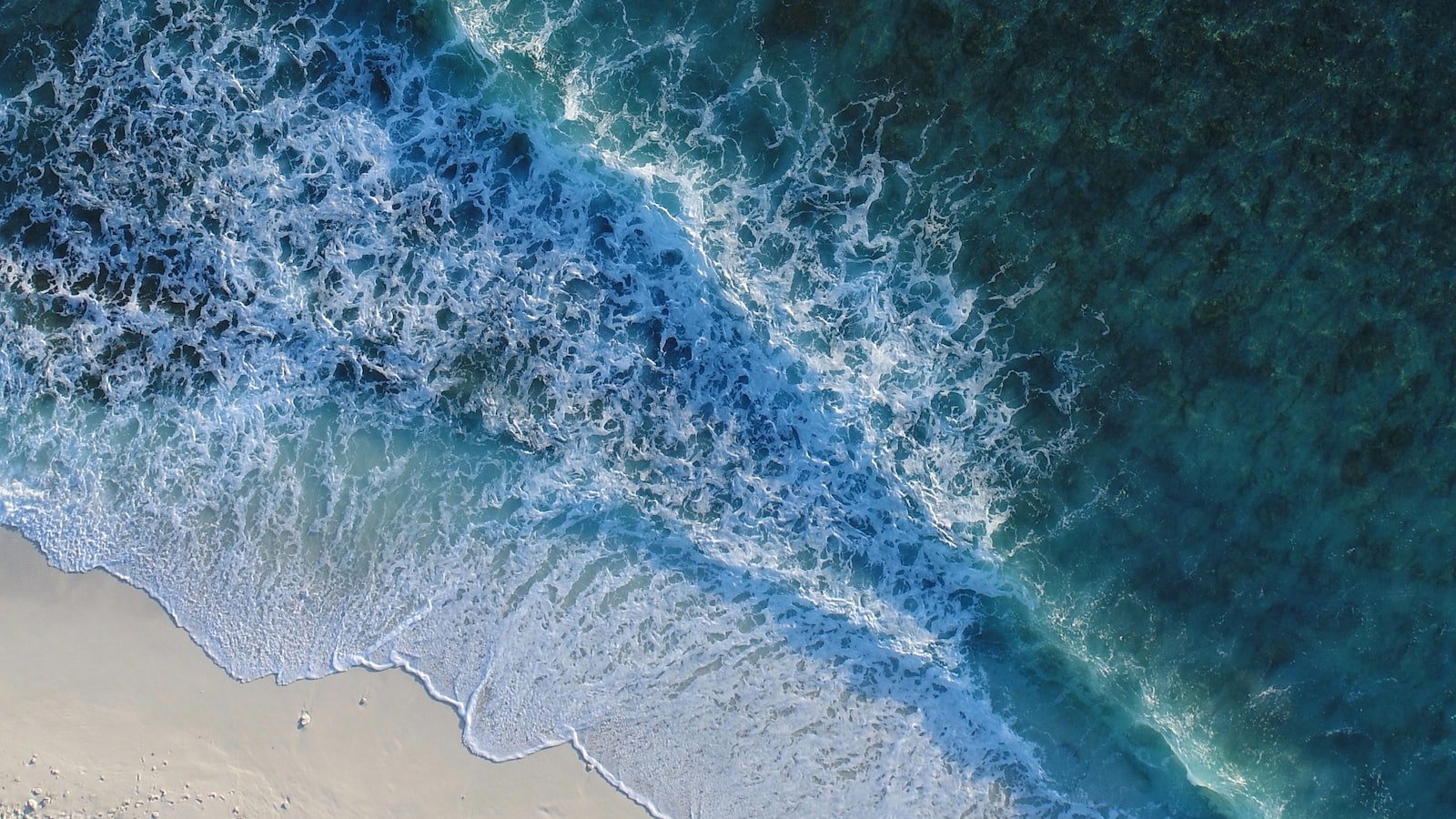 Unveiling New Smyrna Beach FL: A Haven for Outdoor Enthusiasts and Beach Lovers