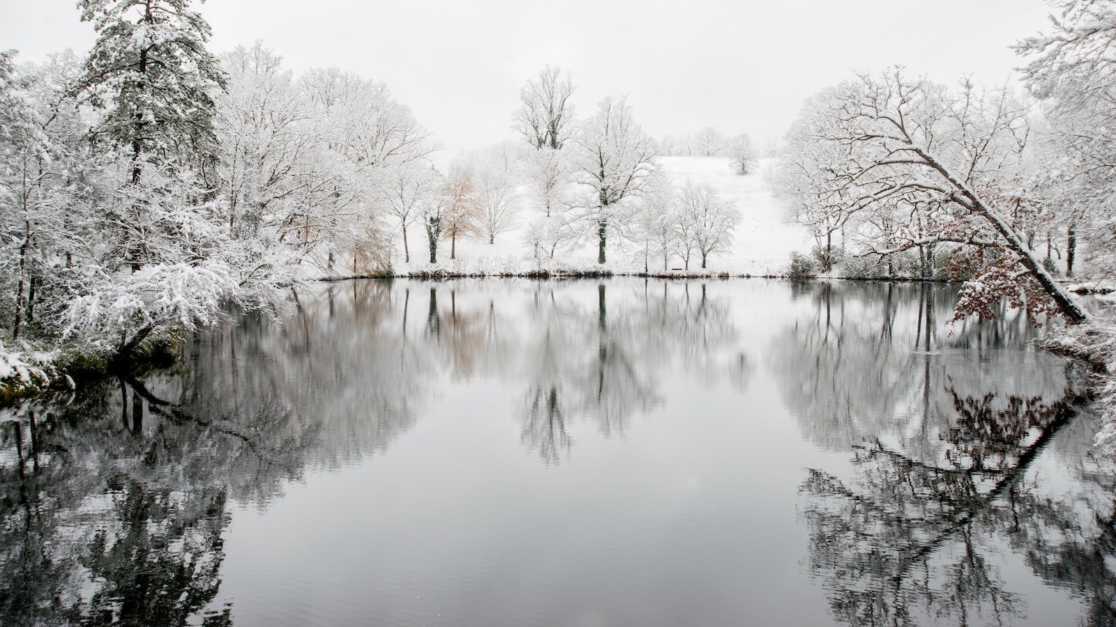 Explore ‌the Charm and ⁤Beauty of Winter‍ Haven FL Real Estate