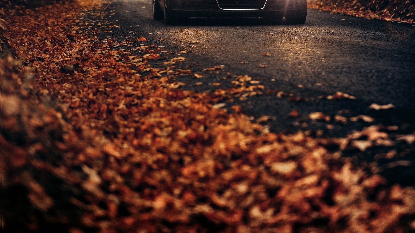 Unlock the full potential‍ of‌ Leesburg's⁣ real estate market with ⁣Redfin's expert agents