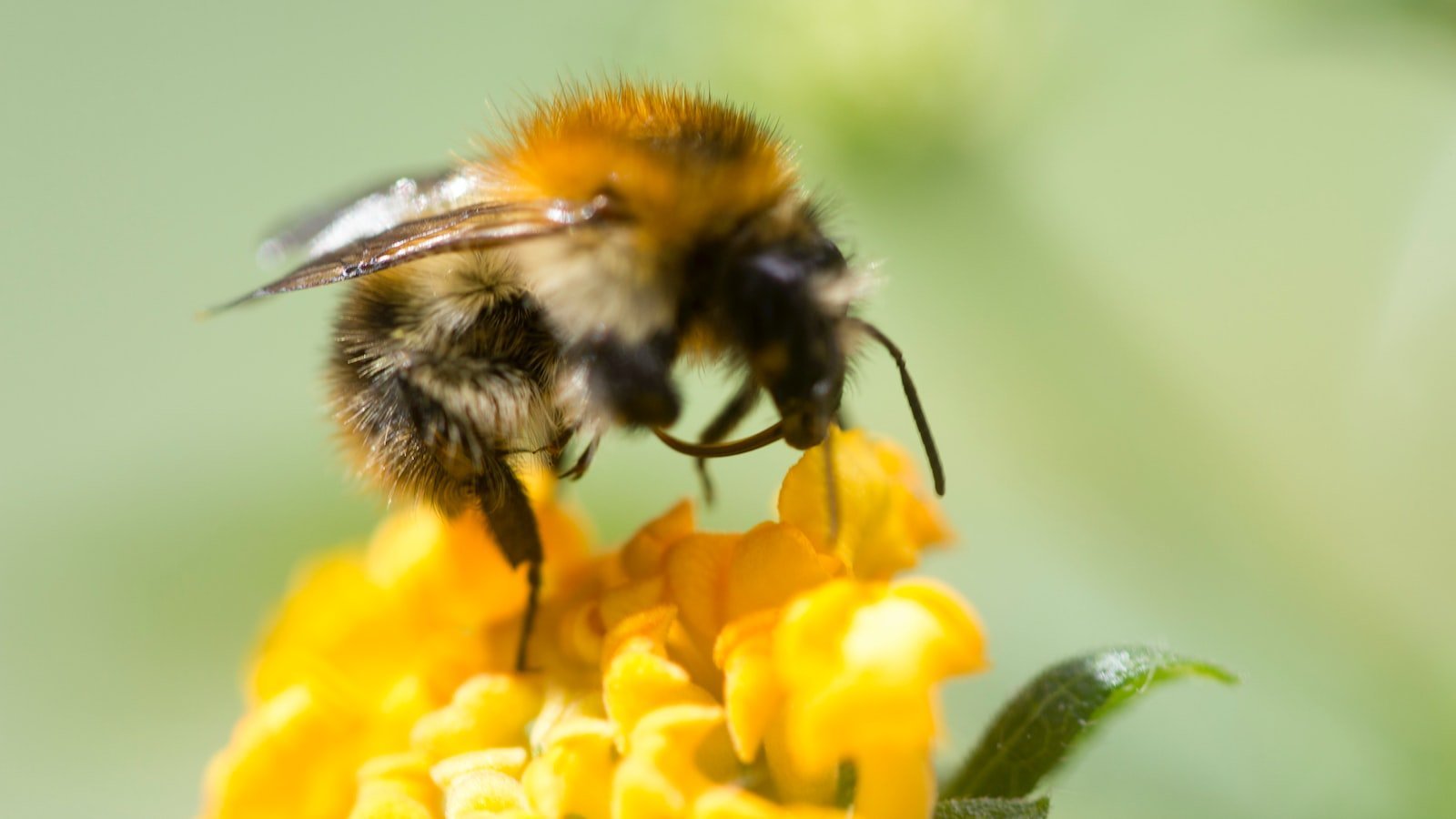 2. Navigating ⁢the Options: An In-Depth Analysis of Lantana, FL's Real Estate Market on Zillow