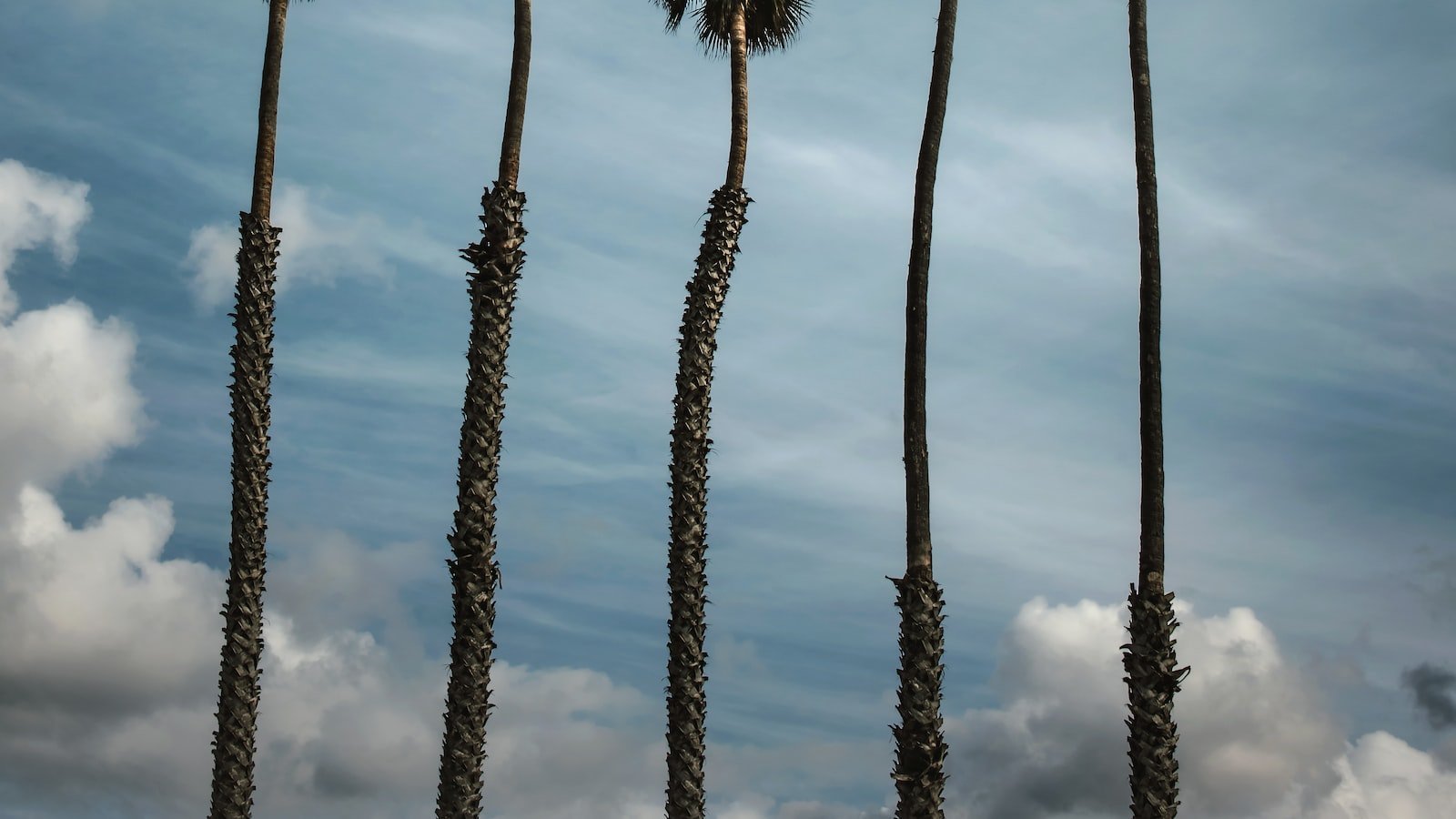 The ⁤Allure of Cinco Bayou, FL: Explore Exquisite Homes for Sale in this Serene Waterfront Community