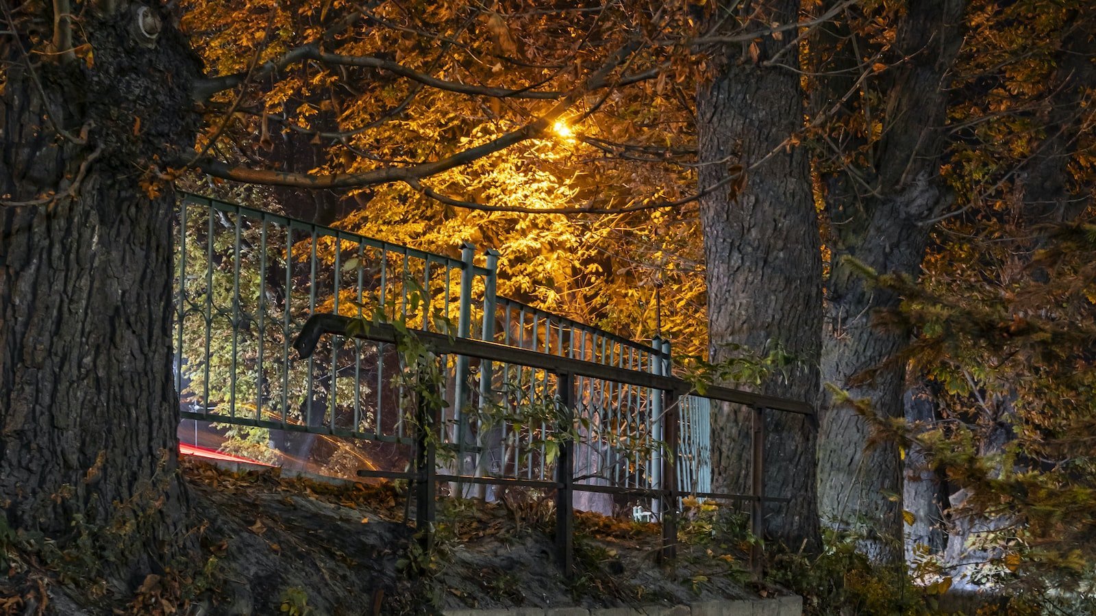 2. Prime ⁤Location and⁤ Commuter-Friendly Neighborhood:⁣ Discover the Ultimate ⁢Convenience of Living ‌in ‌Holly Hill, ‍FL