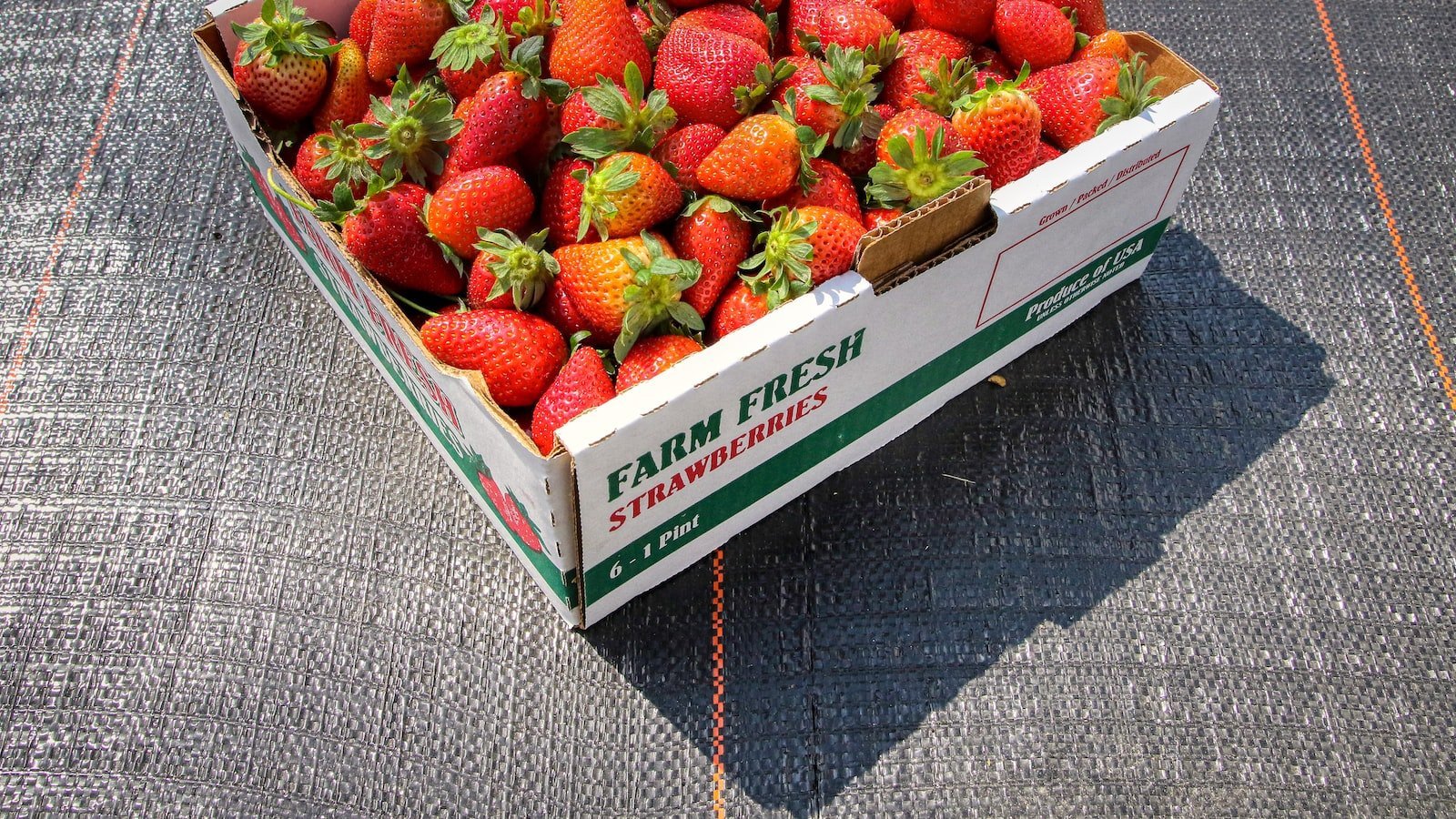 Unveiling Kissimmee's Finest Real Estate Websites: A Comprehensive Guide