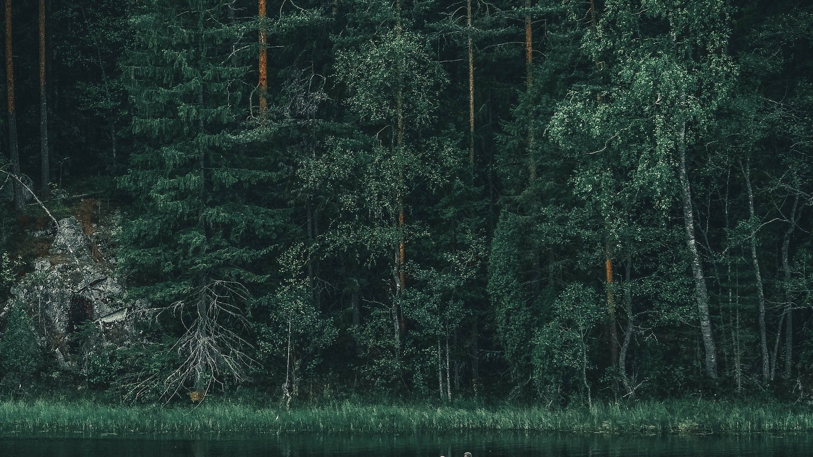 Discovering the Best of LaBelle, FL Real Estate through ⁣Zillow's Extensive Listings