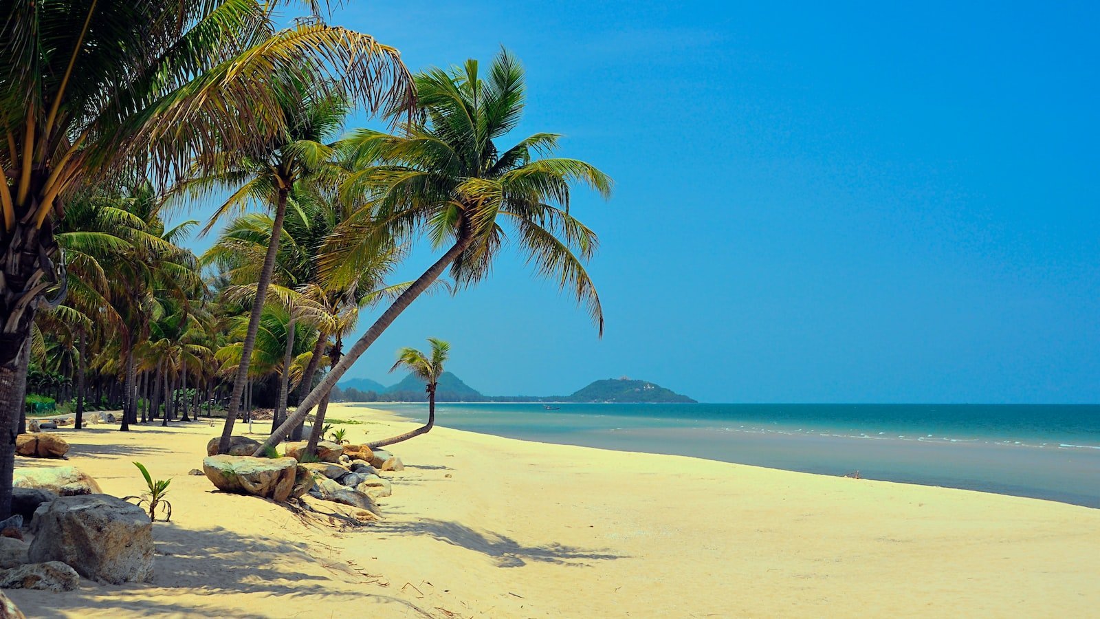 The Charm of Palm Beach, FL: A Haven for Luxury Living and Coastal Beauty