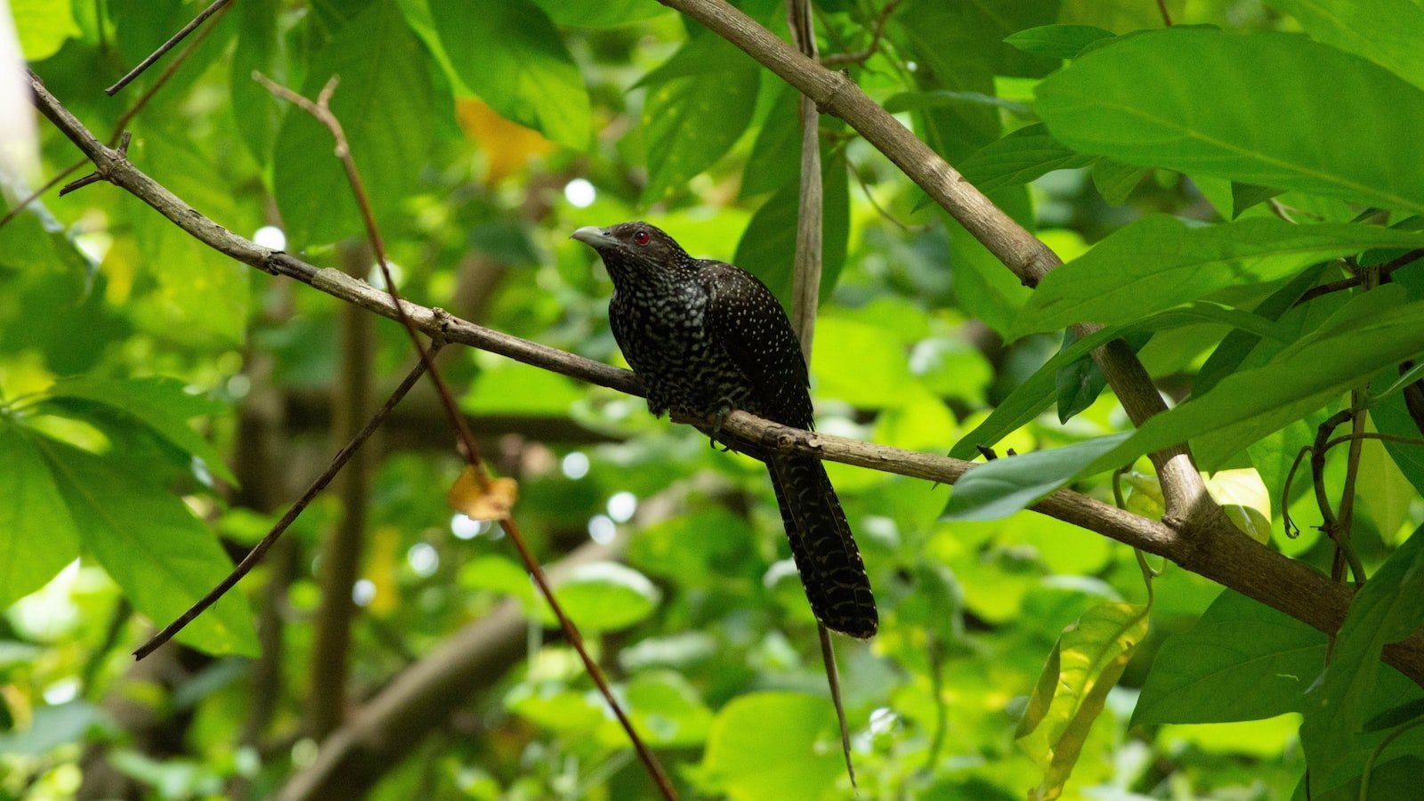 Unveiling Zillow's Advanced Features for Buyers⁣ and Sellers in‌ Gulfport FL