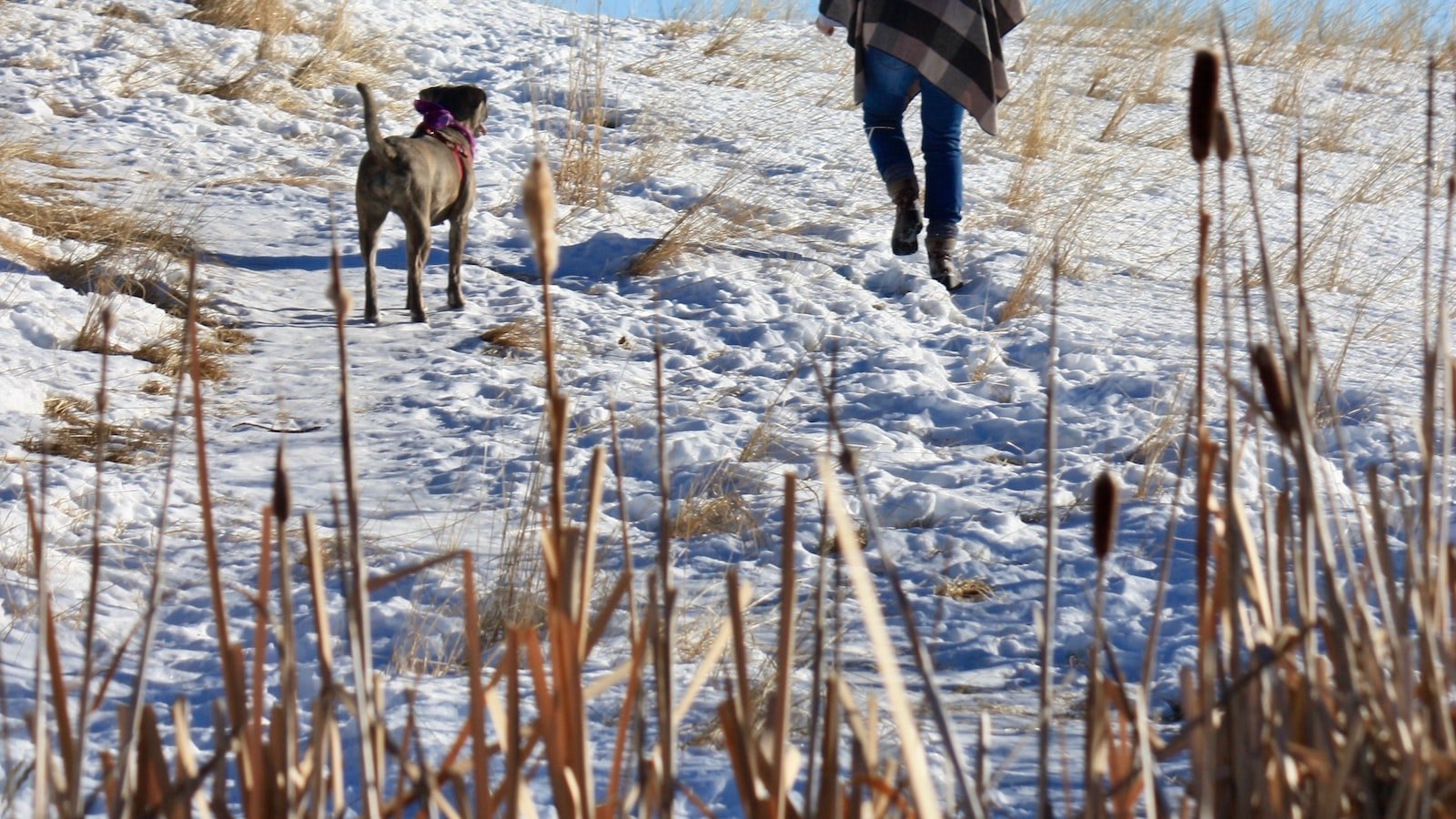 A Buyer's Guide to Finding the Perfect⁢ Homes for ⁣Sale in Ocala, FL