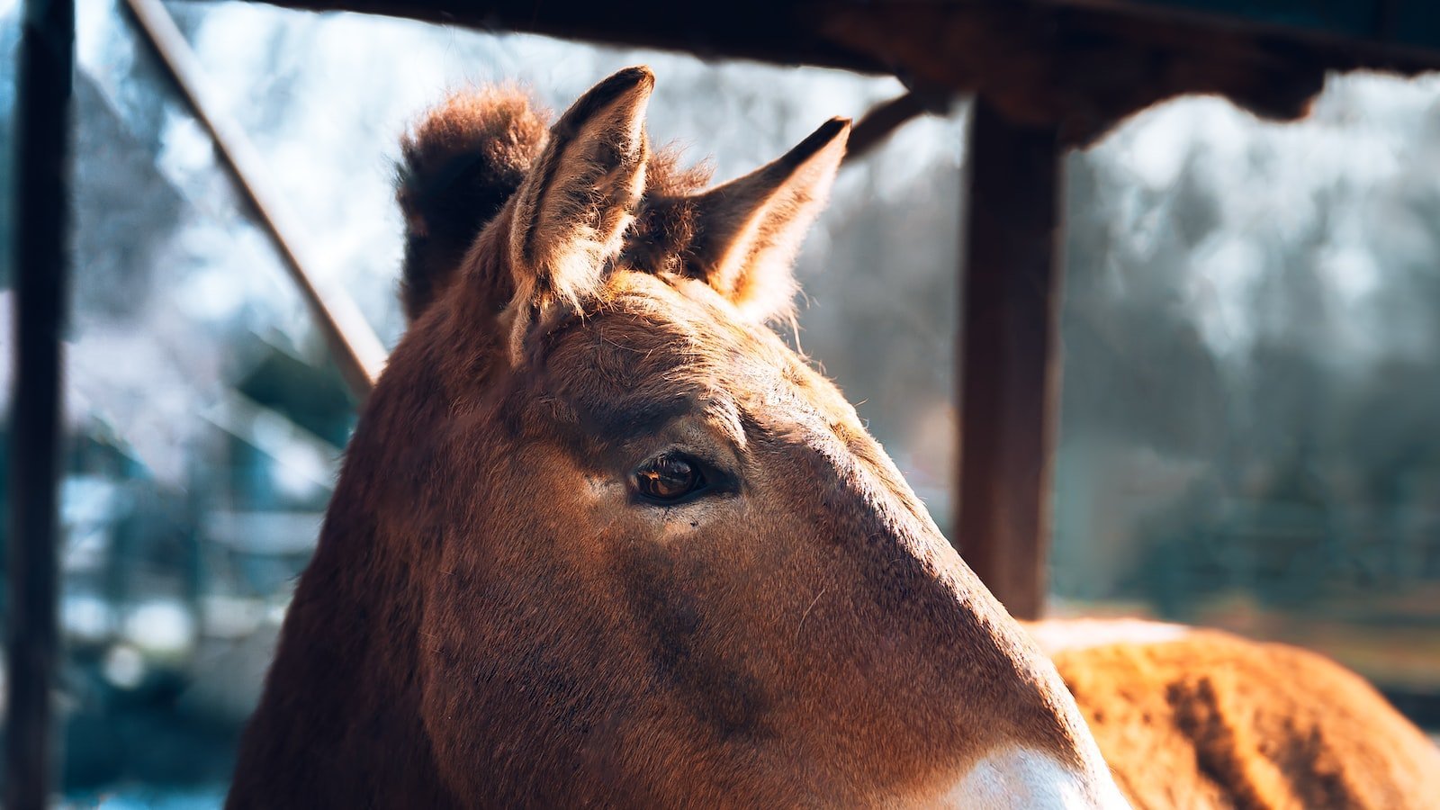 Finding the‍ Perfect Oceanfront Retreat: Exploring⁢ the Best House Sale ⁢Websites in Melbourne Beach, FL