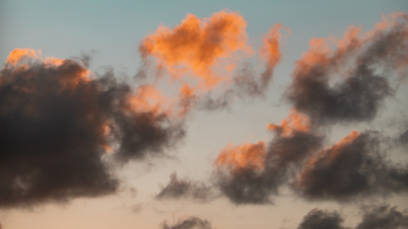 4. Top Recommendations: ⁤Hiring a Realtor in Haines City, FL - Your ⁣Gateway⁢ to a Smooth‍ Real Estate Journey