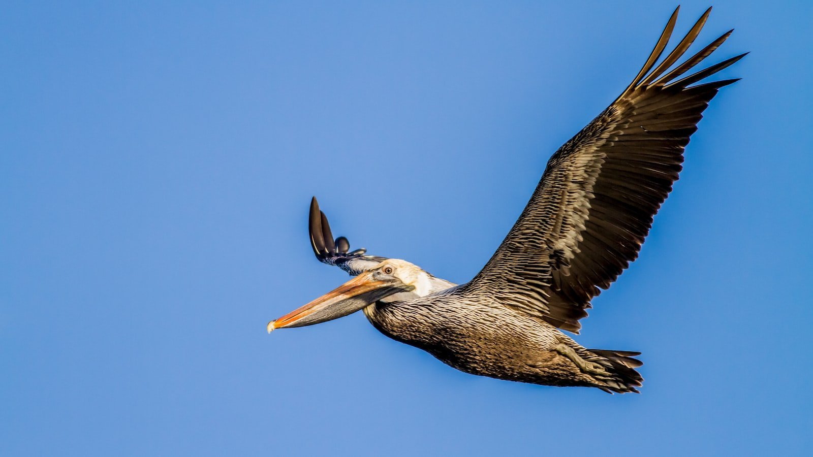 What⁢ to Look for in a Valparaiso ⁤FL ⁤Realtor: Key⁤ Factors to Consider