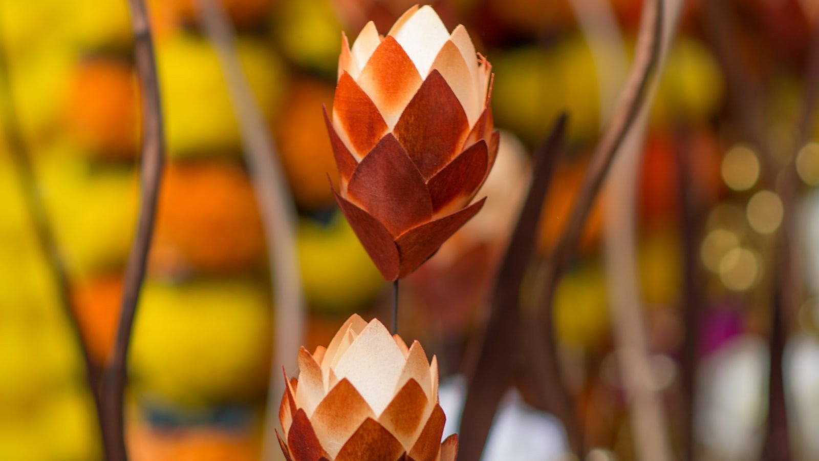 Unlocking ⁤Fort Meade's Real‌ Estate Potential:⁤ Top House⁣ Sale Websites to Consider