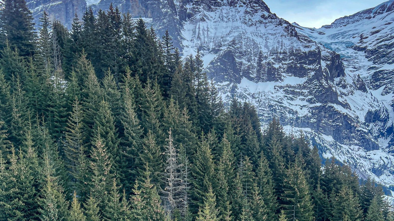 Top Recommendations ‌for first-time Homebuyers in Okeechobee, FL