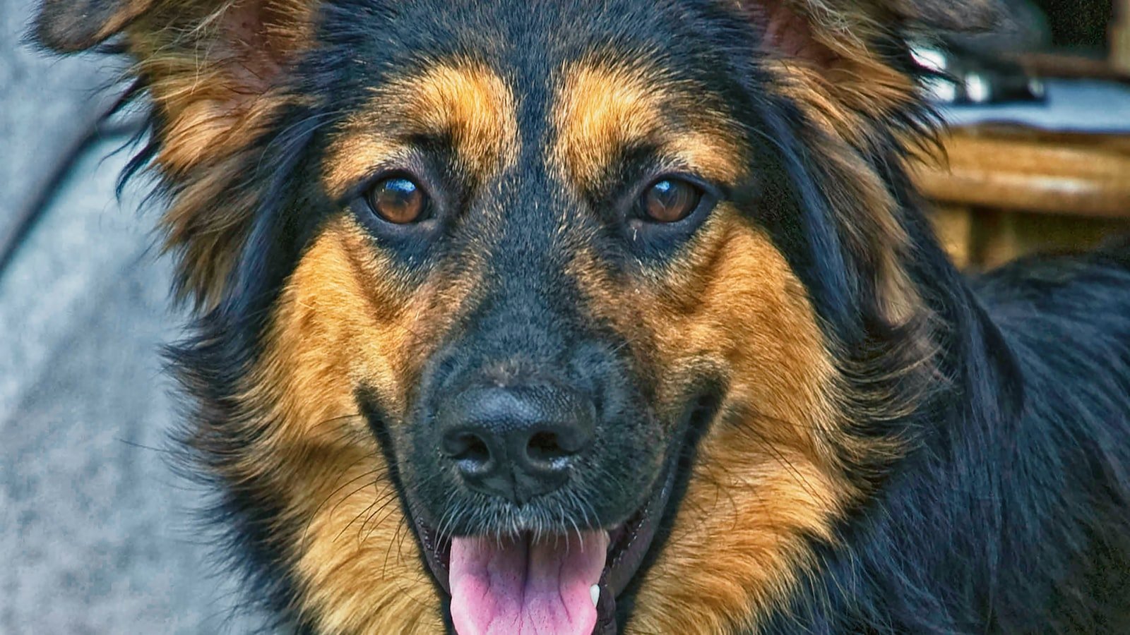 Seamless⁢ Connectivity:⁣ Embrace the Vibrant Lifestyle of Aventura with ​Houses for Sale