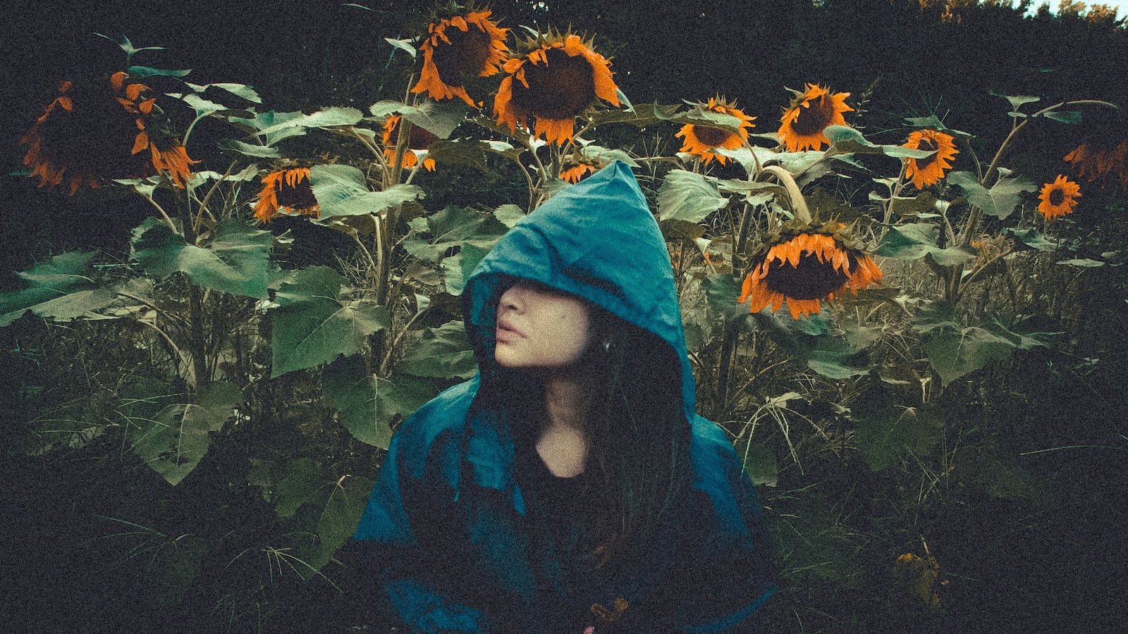 Uncover the Hidden Gems⁣ of ⁤Dunedin, FL ⁤on‍ Zillow