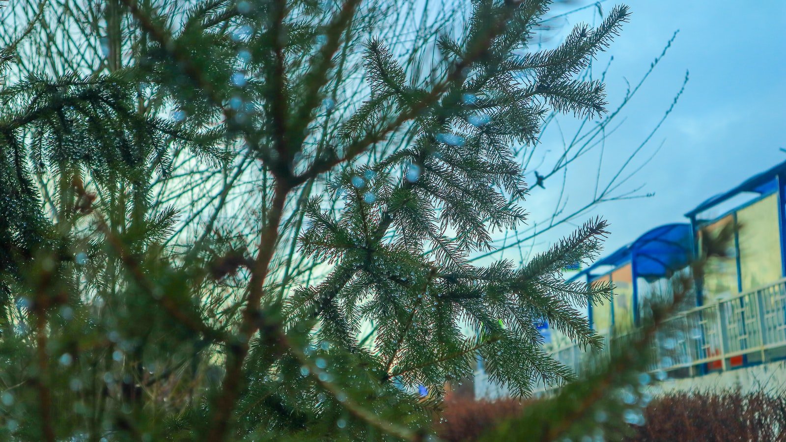 Exploring the Benefits of Hiring a Realtor in Punta Gorda FL