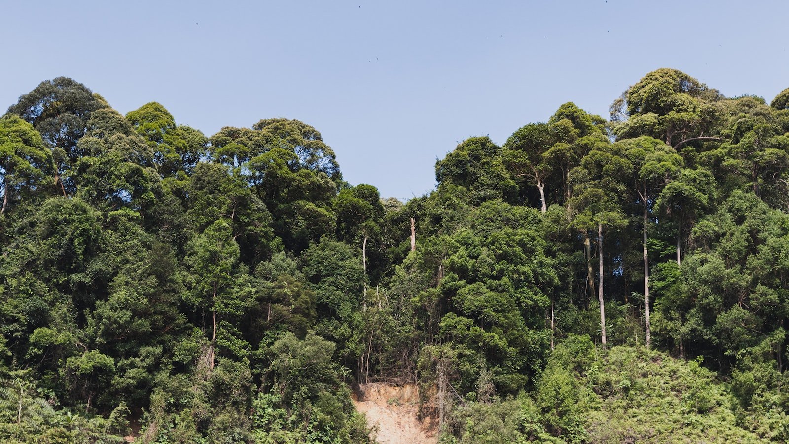 Unlocking the ⁢Hidden Gems ⁣of Haines City, ⁤FL: Exploring Zillow's ‌Top Picks