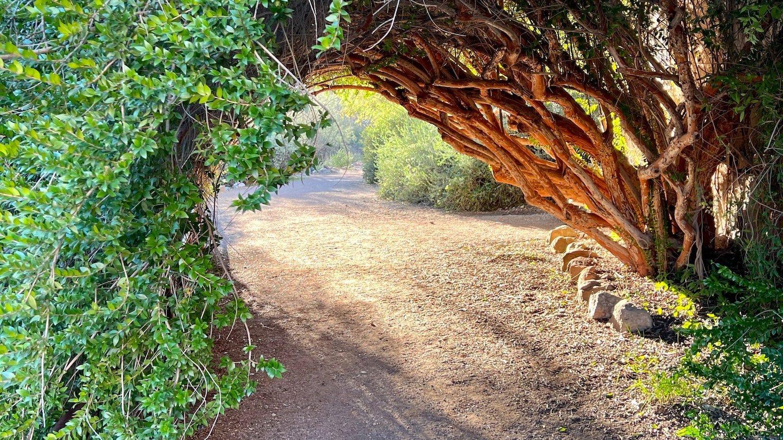 The Best Realtors in Alachua, FL: Top⁤ Recommendations‌ to Simplify ‌Your Home Buying or Selling Journey