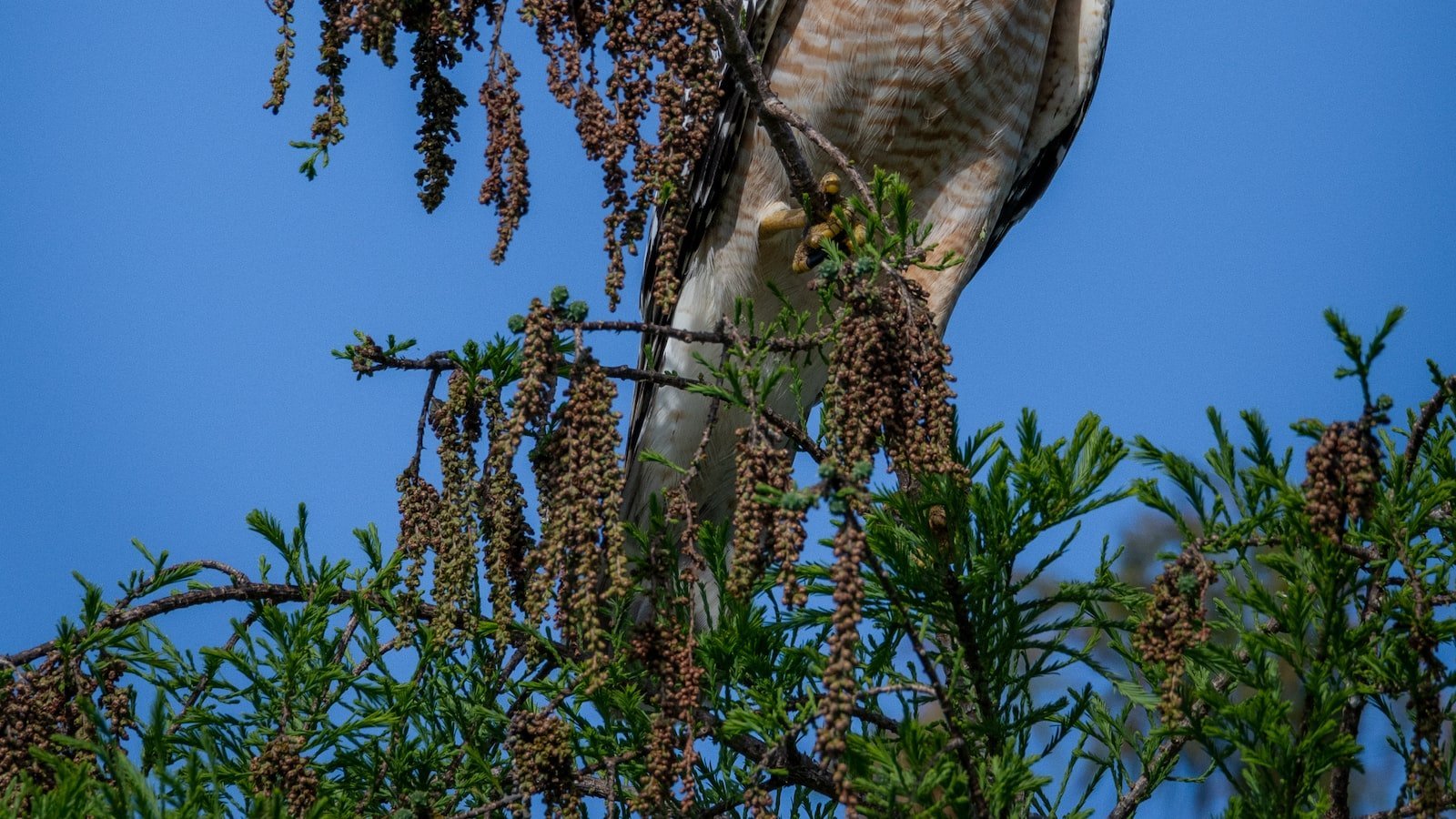 A ​Comprehensive Analysis: ⁣Zillow Houses for Sale Longwood FL⁢ and Real Estate Market Trends