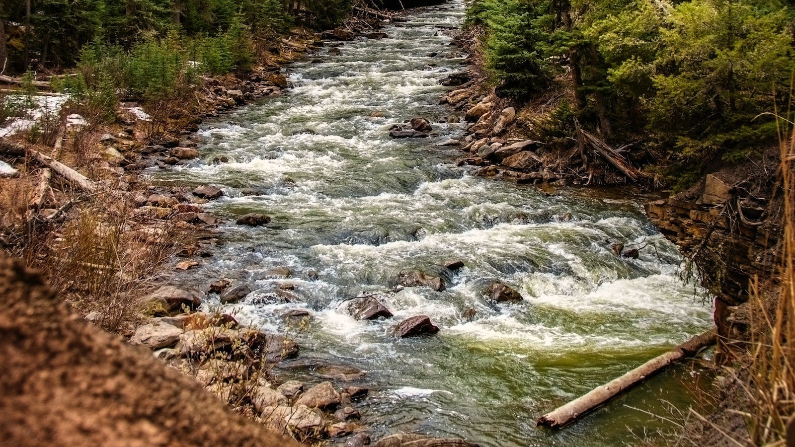 Experience⁤ the‌ Charm of Coconut ‌Creek with a​ Top⁤ Realtor