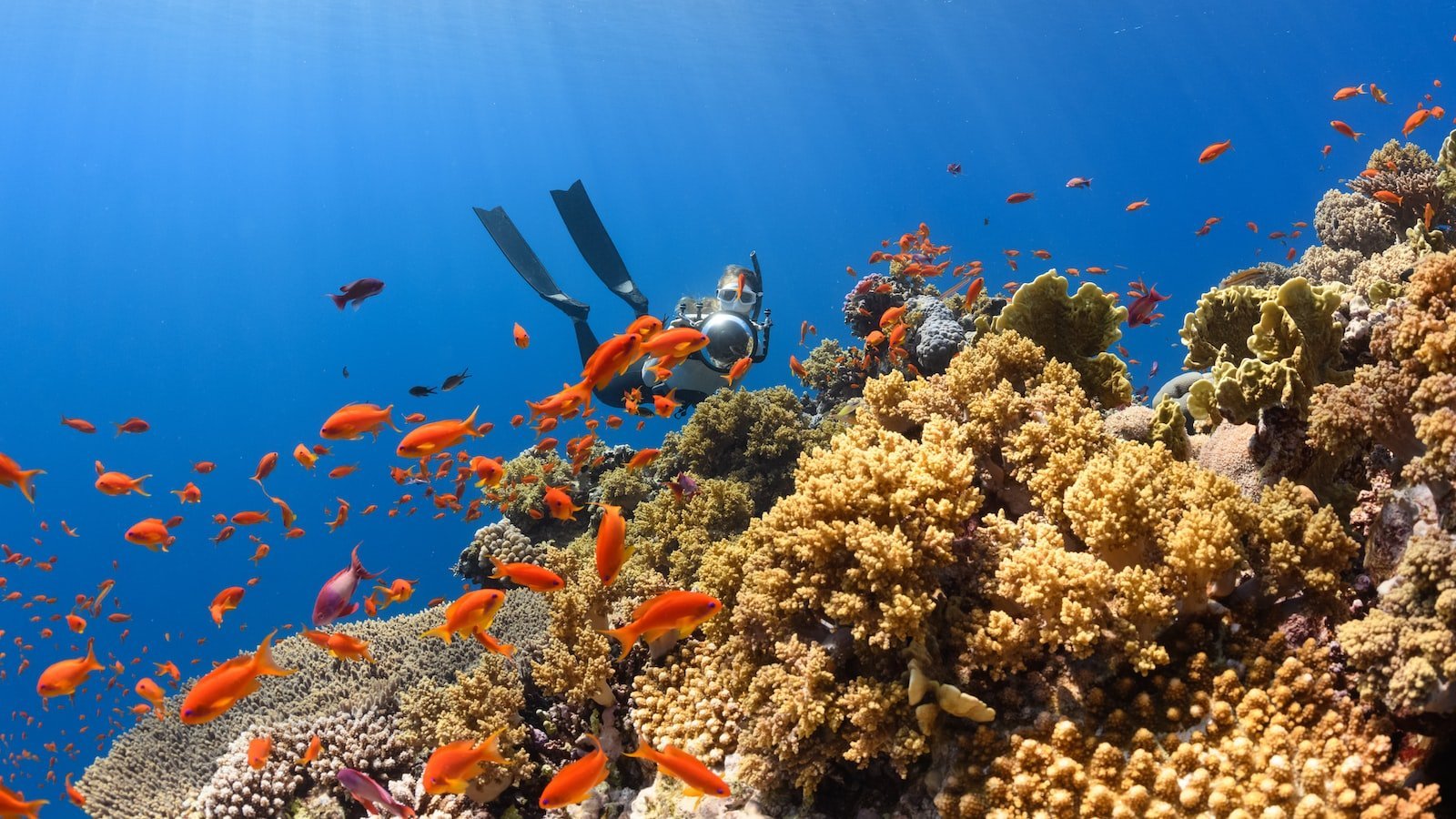 Maximizing User Experience: Tips ‌for Creating Engaging Real Estate Websites in Key West, FL