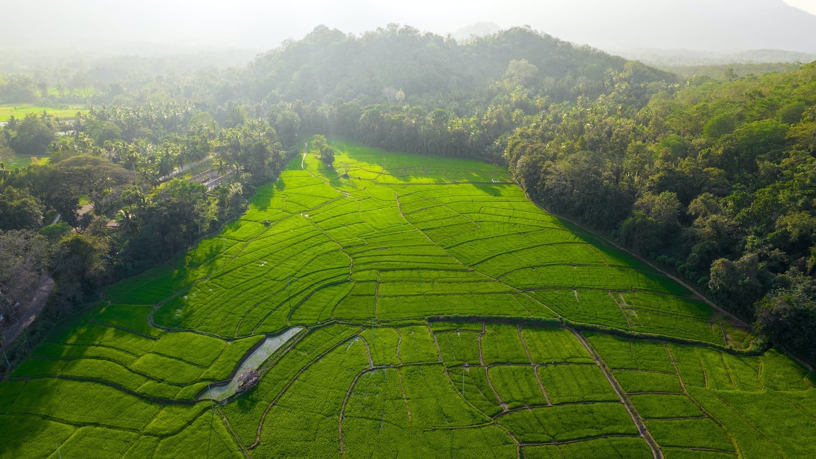 1. Hidden ⁢Gems: Exploring‍ the Diverse Selection of Homes for Sale in‍ Miramar FL